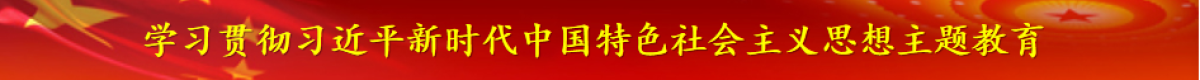 学习贯彻习近平新时代中国特色社会主义思想主题教育